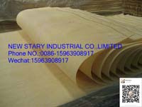 NewStary Industrial Co.,Ltd.