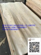 Eucalyptus veneer