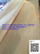 Birch veneer